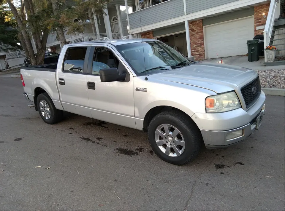 Ford F-150 2006 photo 3
