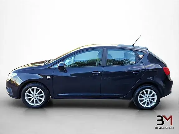 Seat Ibiza 2011 photo 3