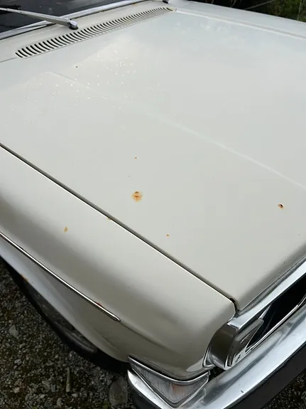 Volvo 144 1972 photo 5