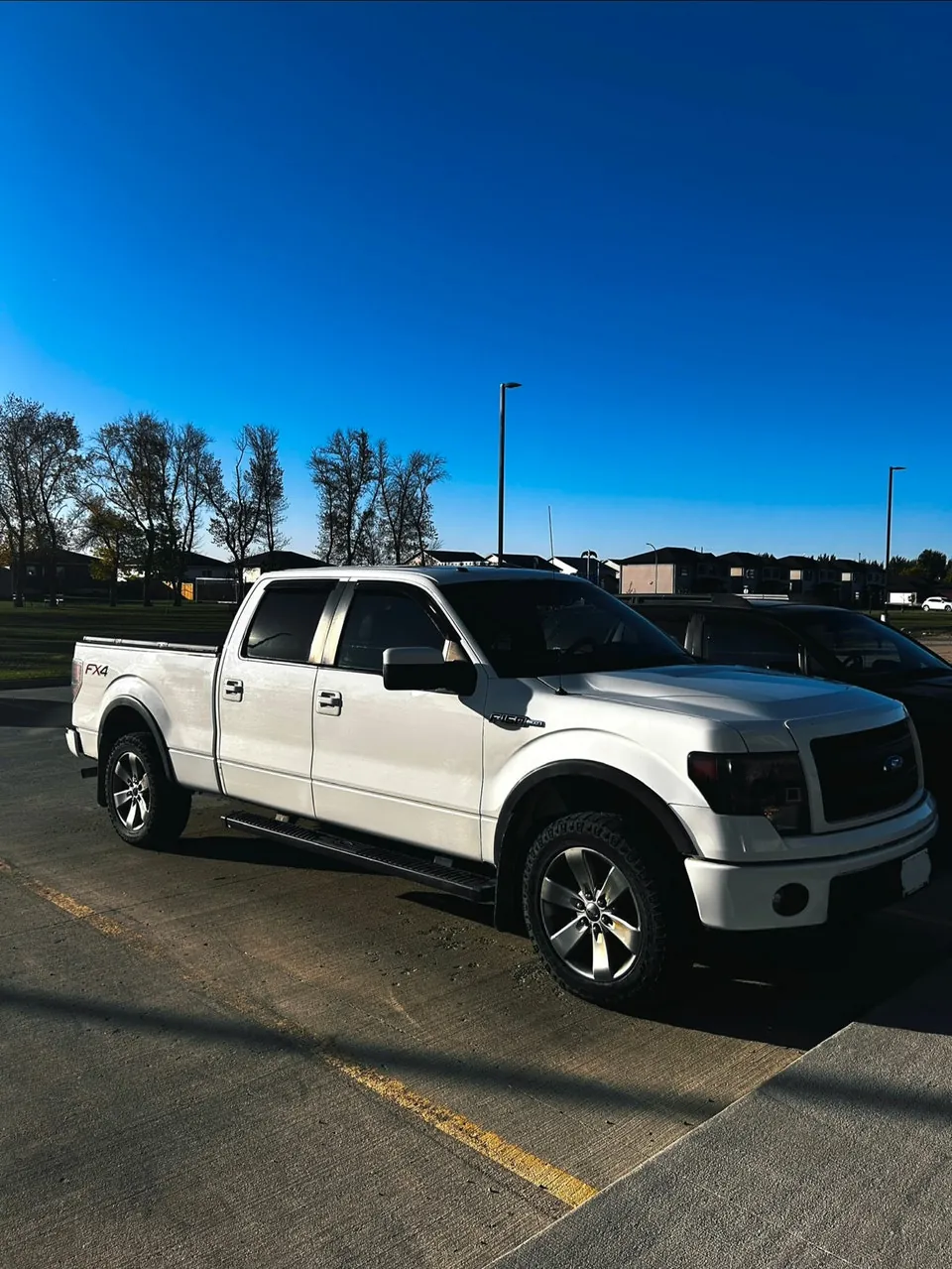 Ford F-150 2014 photo 2