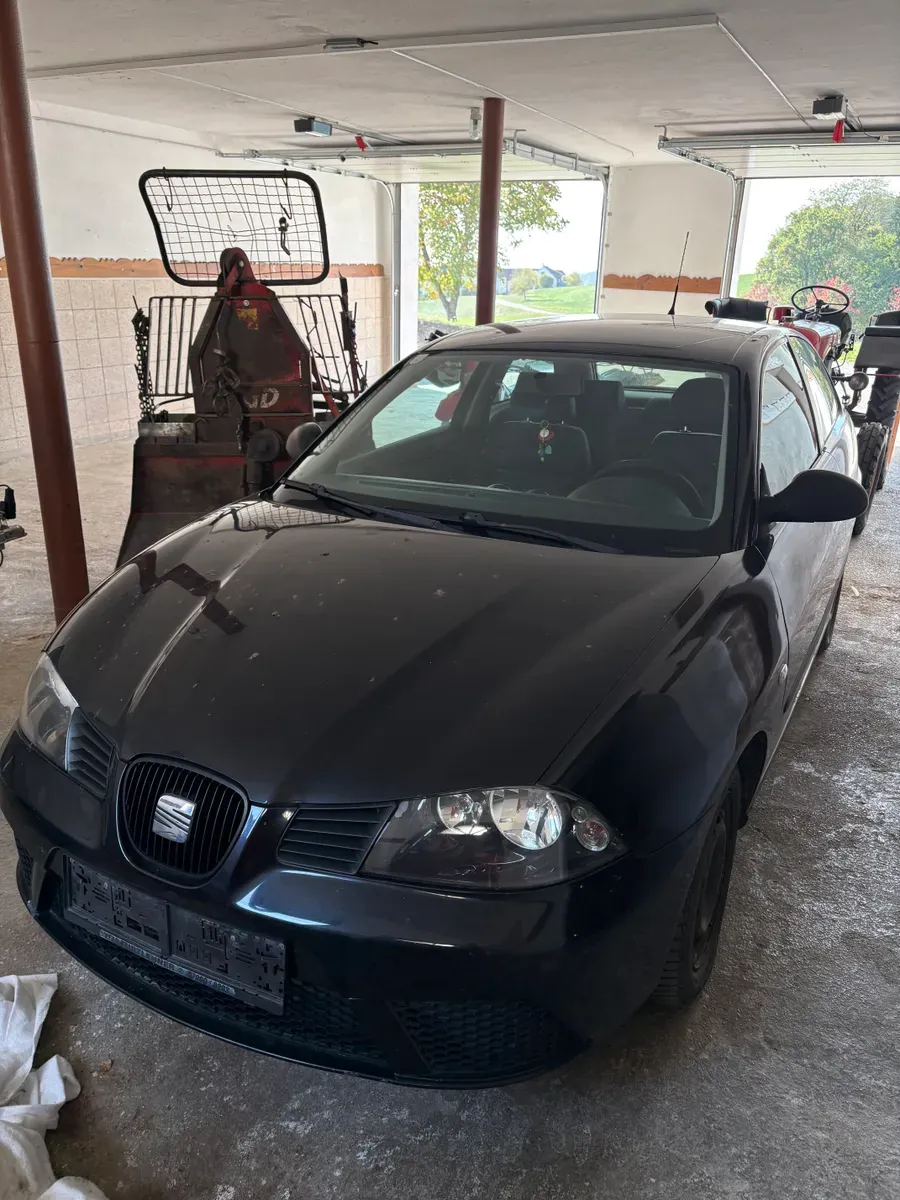 Seat Ibiza 2007 photo 3
