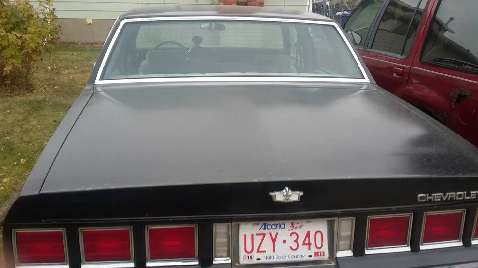 Chevrolet Caprice 1984 photo 3
