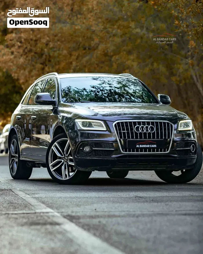 Audi Q5 2016 photo 3