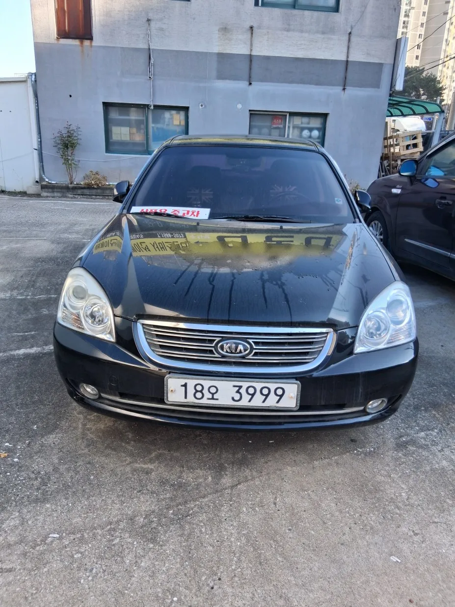 Kia Lotze