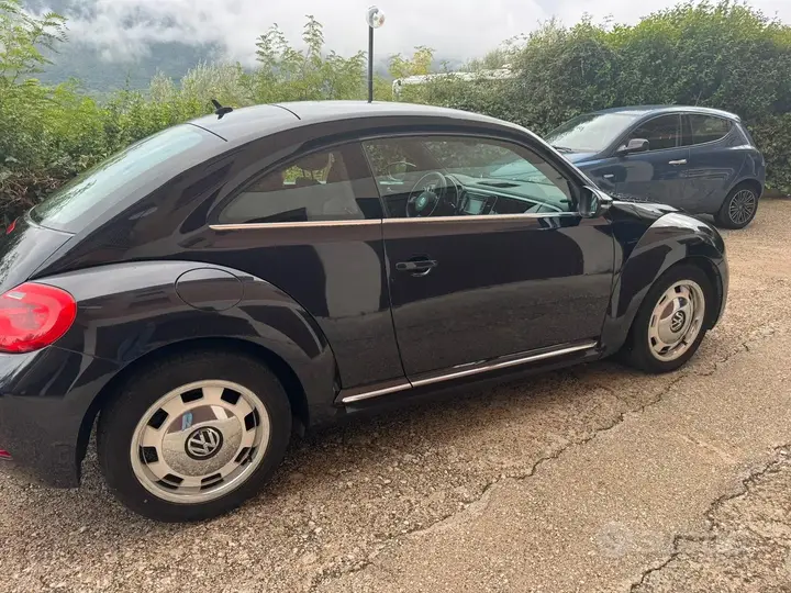 Volkswagen Maggiolino