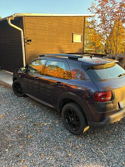Citroen C4 Cactus 2015 photo 3