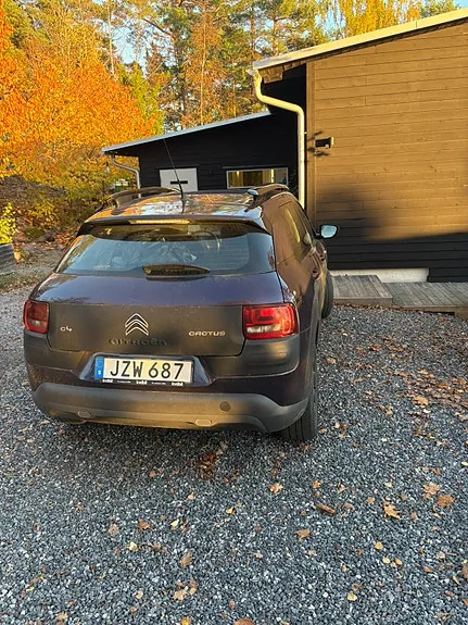 Citroen C4 Cactus 2015 photo 4