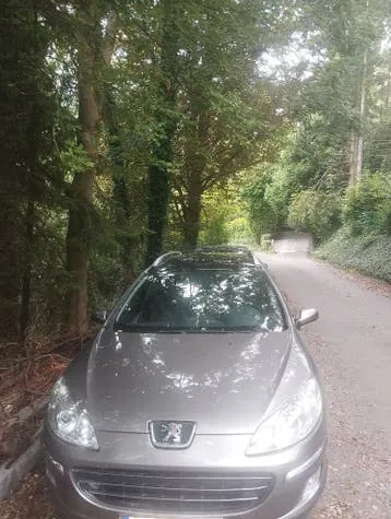 Peugeot 407