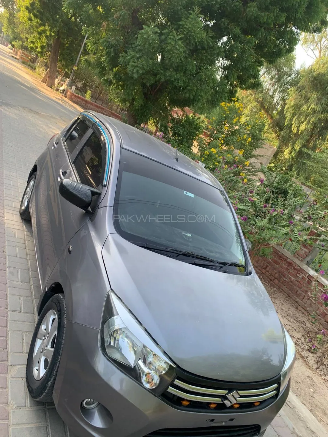 Suzuki Cultus