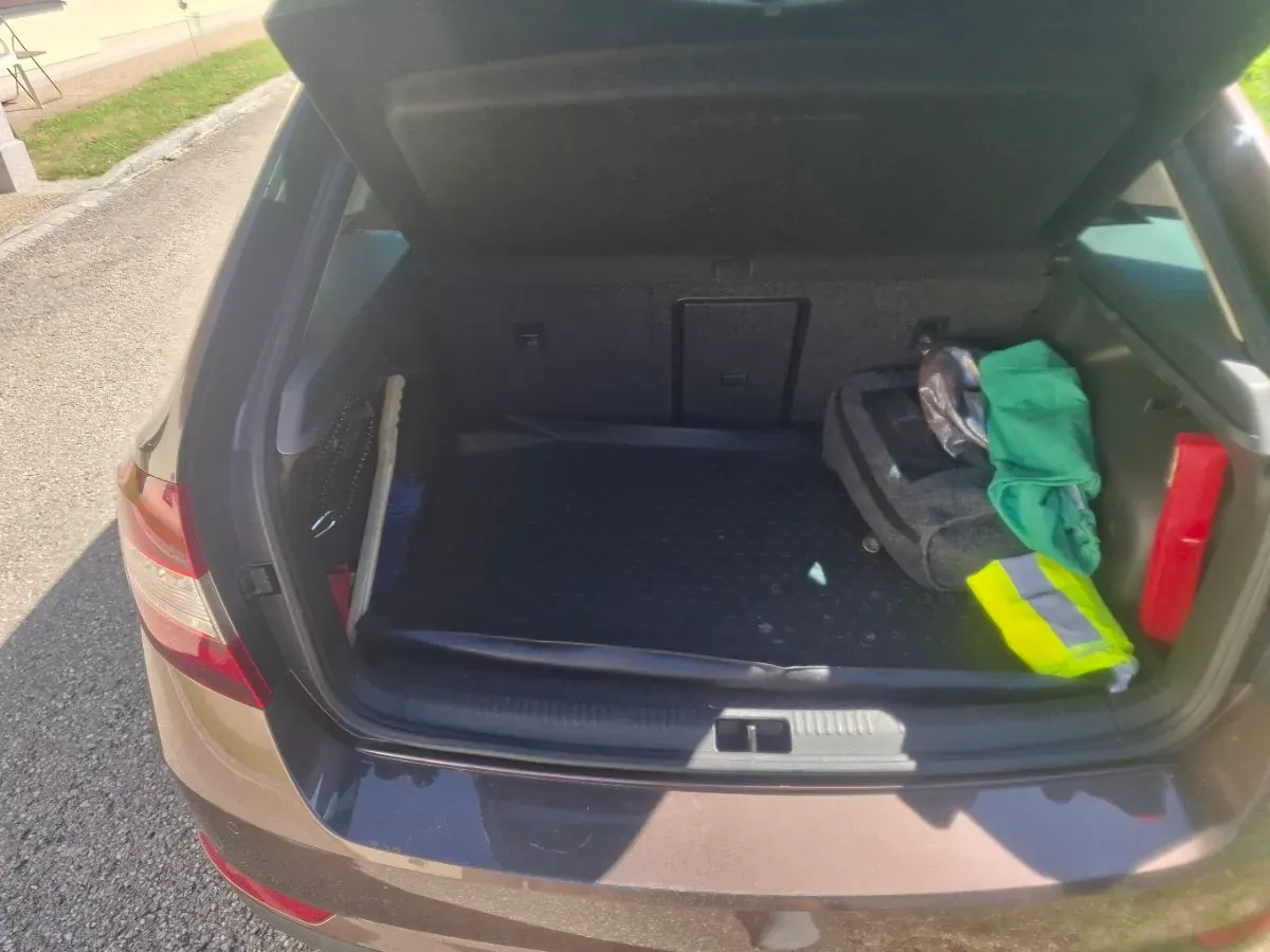 Skoda Rapid 2016 photo 3