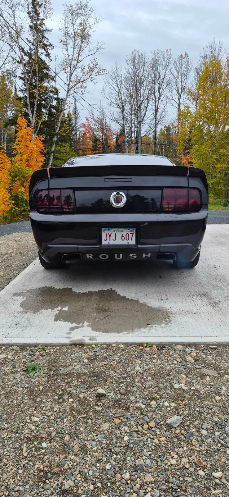 Ford Mustang 2007 photo 4