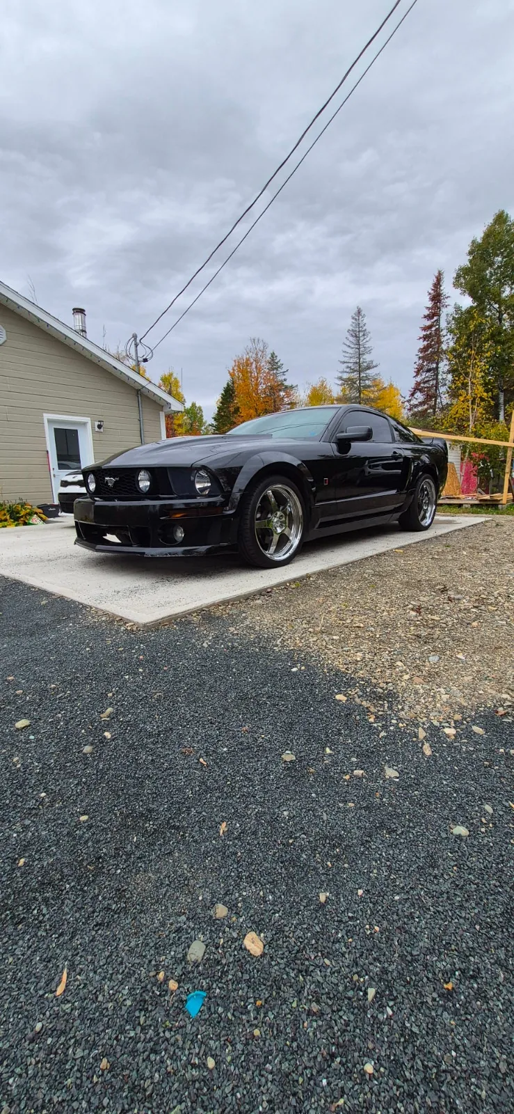 Ford Mustang 2007 photo 2