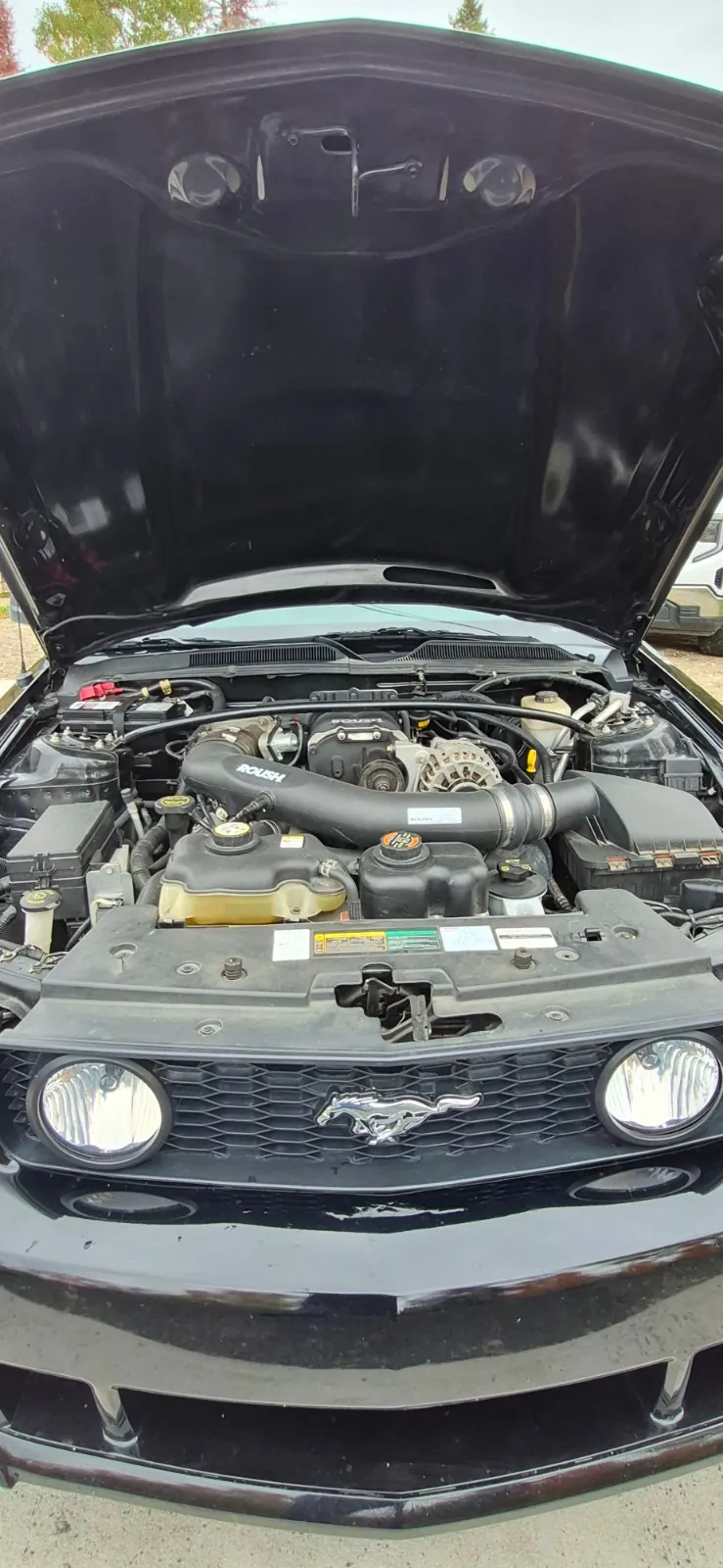 Ford Mustang 2007 photo 5