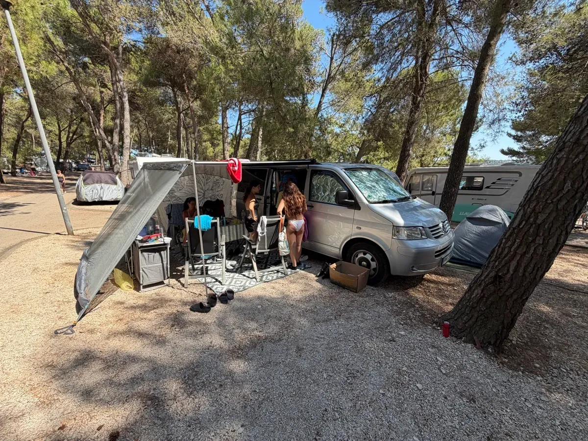 Volkswagen Caravelle 2008 photo 3