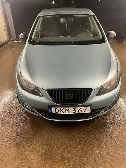 Seat Ibiza 2010 photo 3