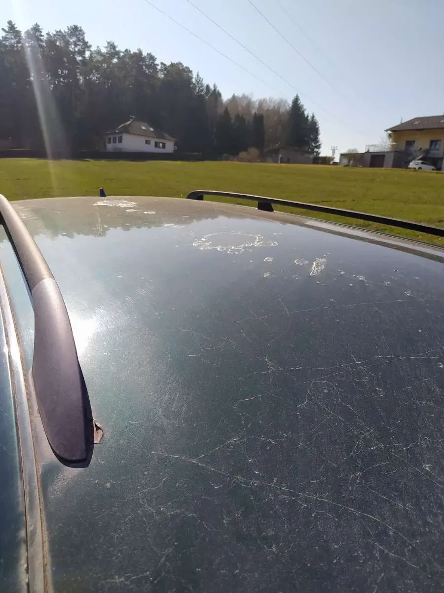 Volkswagen Passat 2000 photo 3