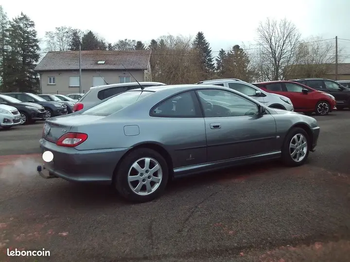 Peugeot 406 2001 photo 3