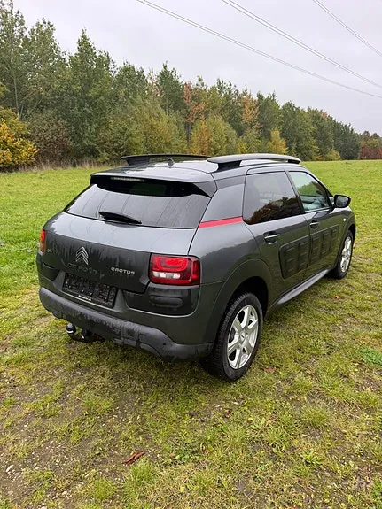 Citroen C4 Cactus 2014 photo 4