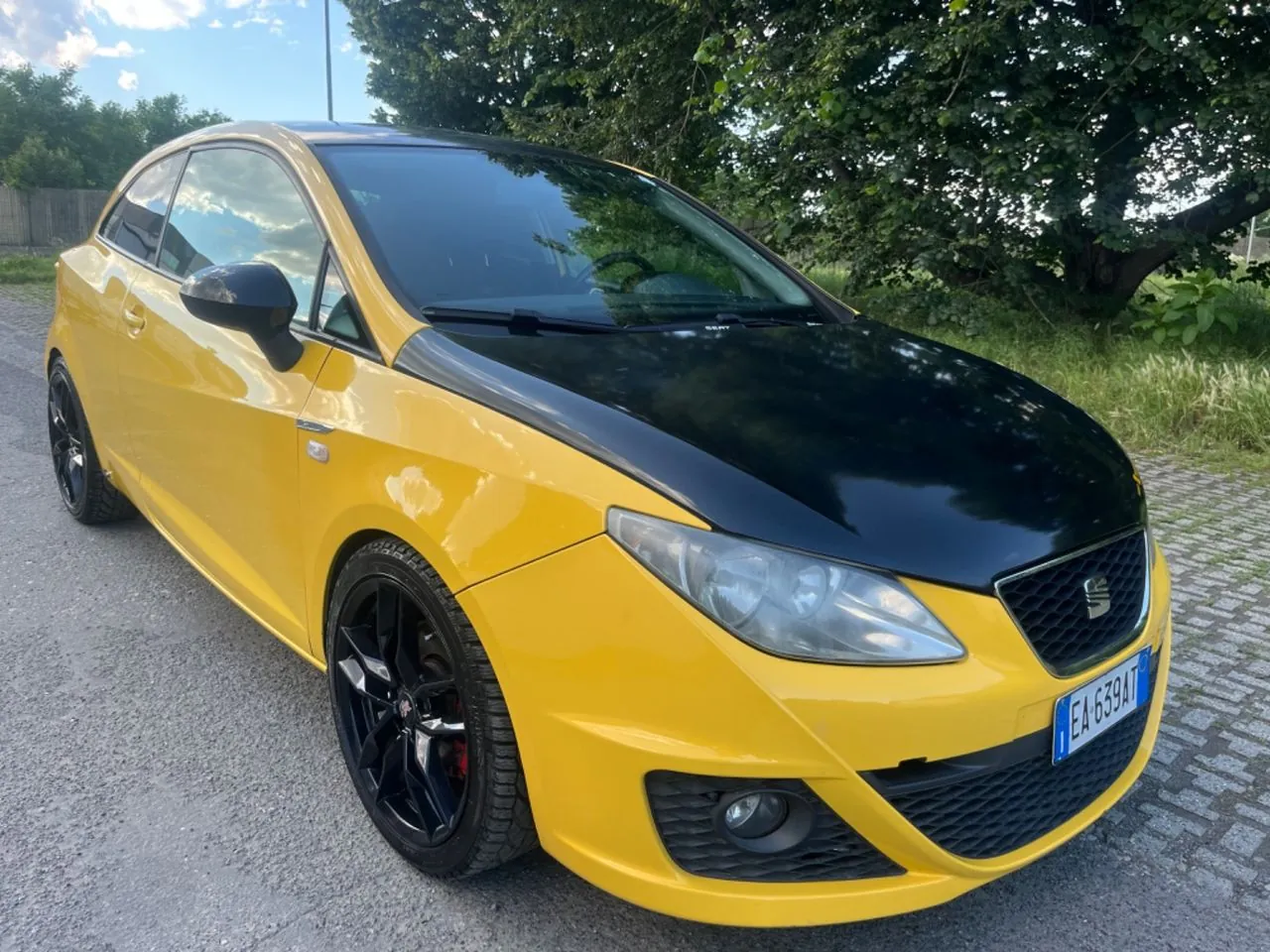 Seat Ibiza 2010 photo 2