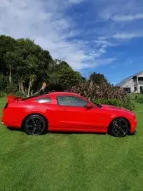 Ford Mustang 2014 photo 3
