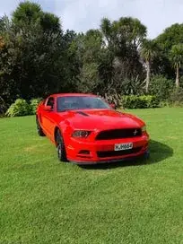 Ford Mustang 2014 photo 2