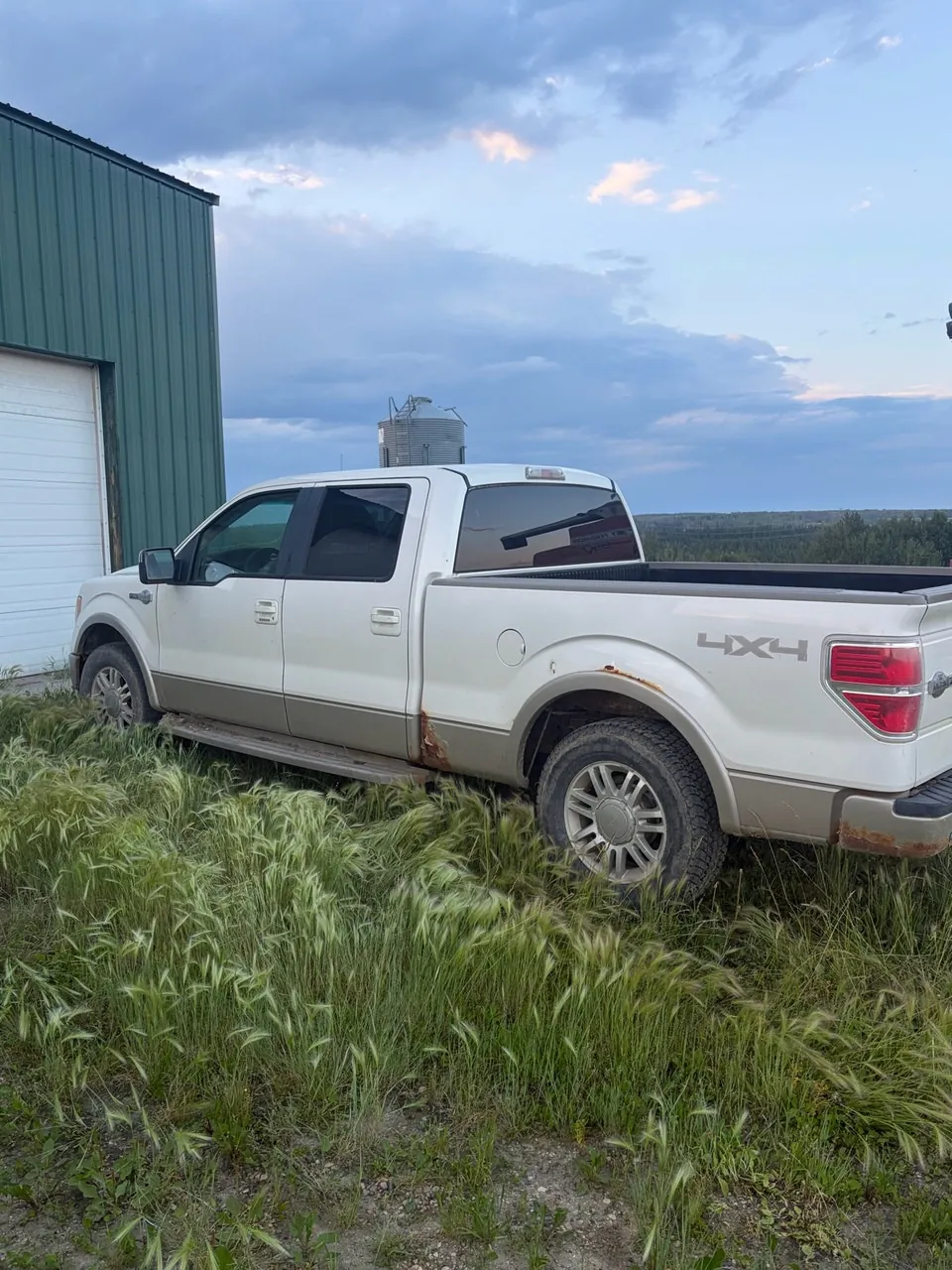 Ford F-150 2009 photo 2