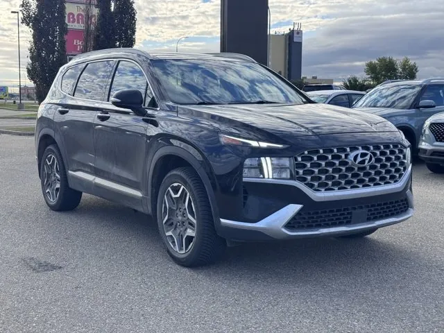 Hyundai Santa Fe 2022 photo 3