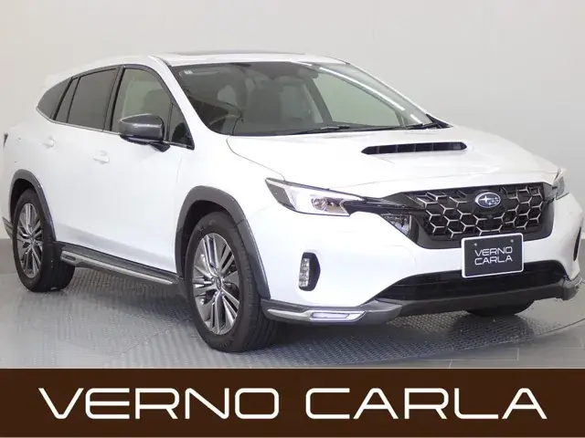 Subaru Levorg 2024 photo 2