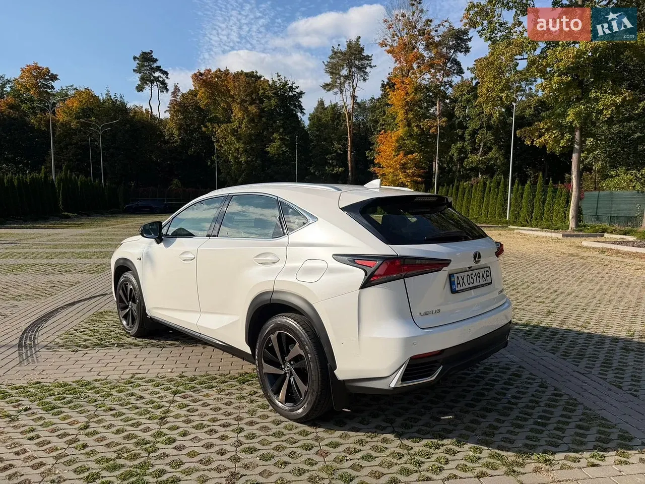 Lexus Nx 2019 photo 4