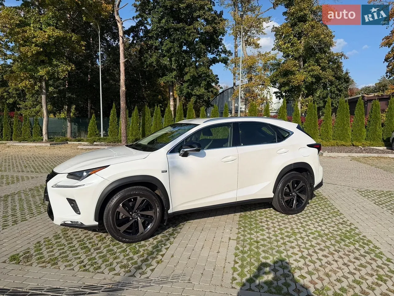 Lexus Nx 2019 photo 3