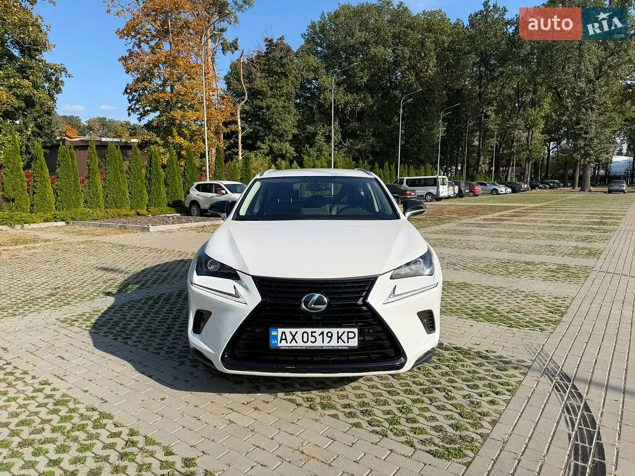 Lexus Nx 2019 photo 2