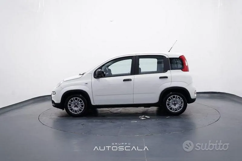 Fiat Panda 2024 photo 3