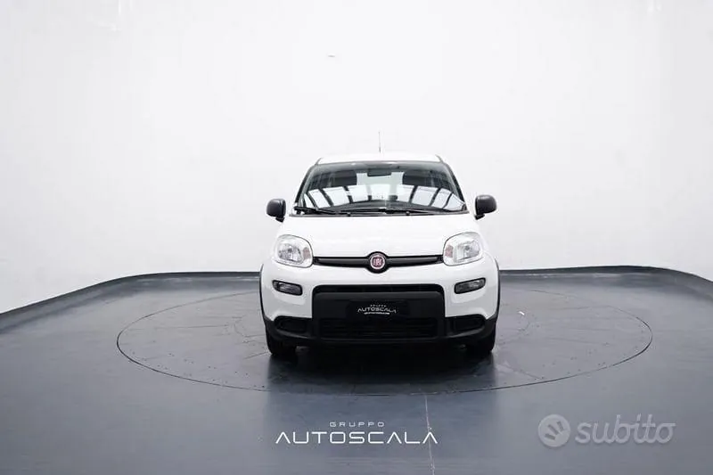 Fiat Panda 2024 photo 2