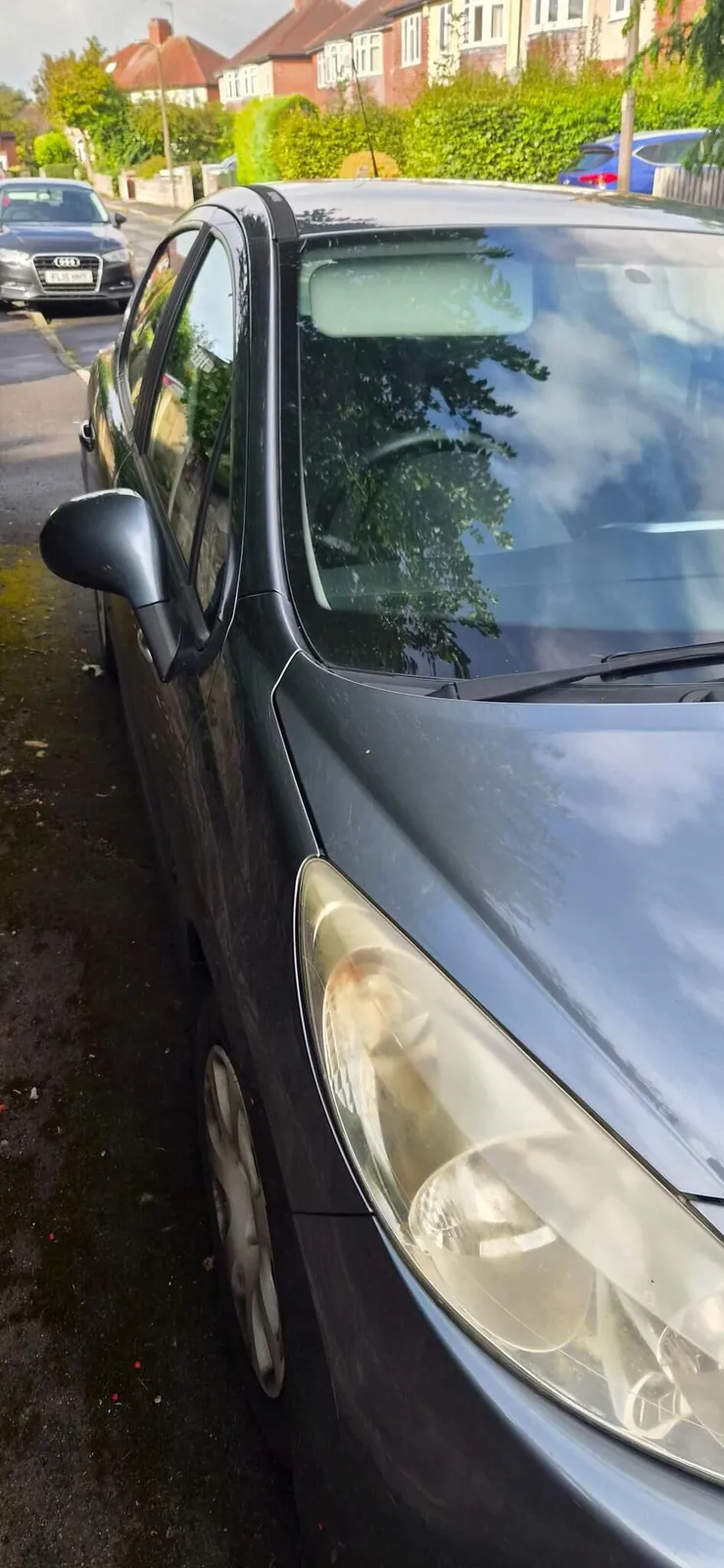Peugeot 207 2010 photo 4