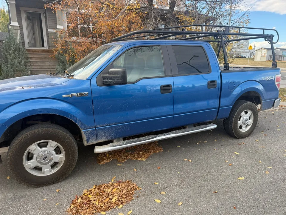 Ford F-150 2014 photo 3
