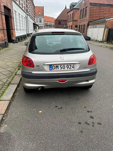 Peugeot 206 2004 photo 4