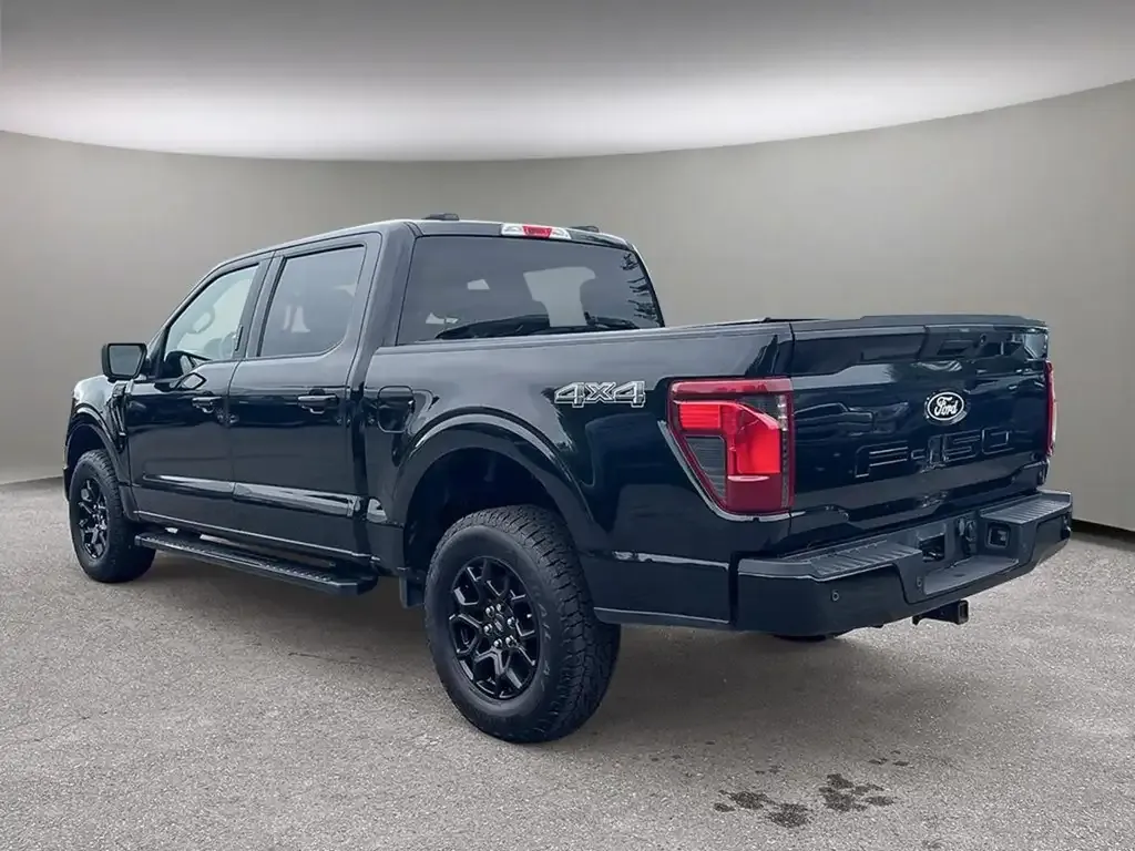 Ford F-150 2024 photo 4