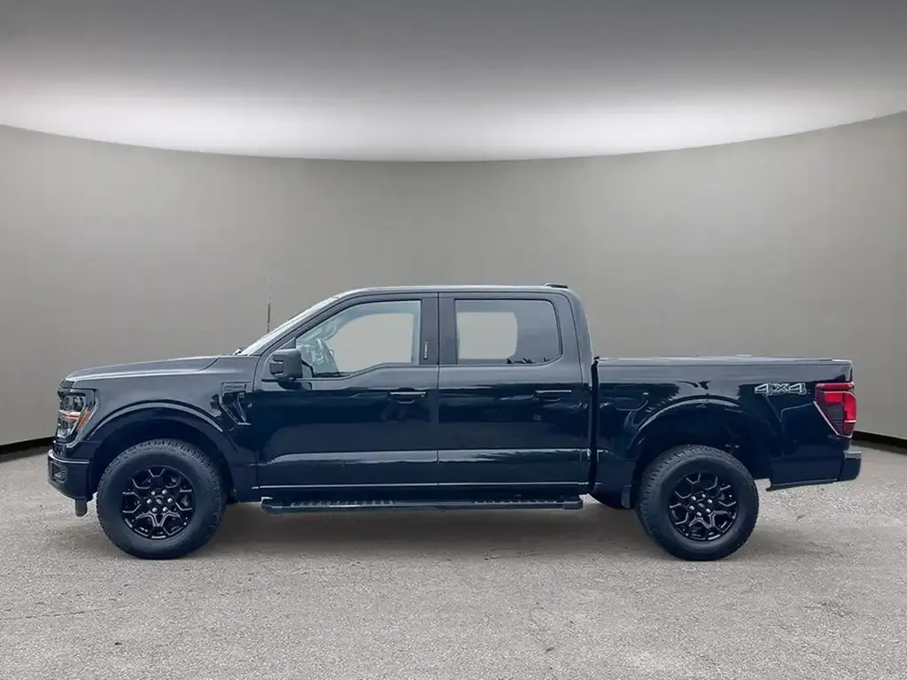 Ford F-150 2024 photo 3