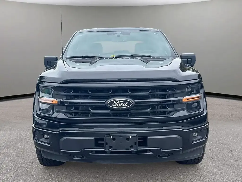 Ford F-150 2024 photo 2