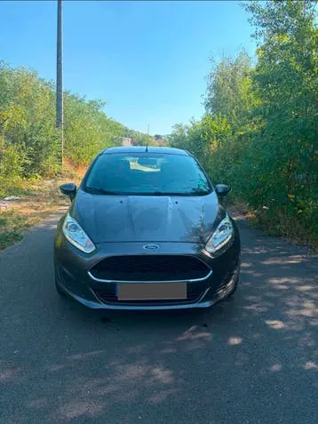 Ford Fiesta 2016 photo 2