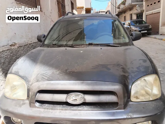 Hyundai Santa Fe 2006 photo 2