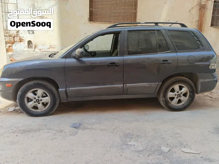 Hyundai Santa Fe 2006 photo 4