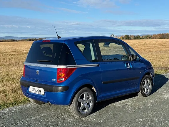 Peugeot 1007 2005 photo 4