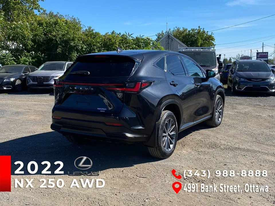 Lexus Nx 250 2022 photo 3