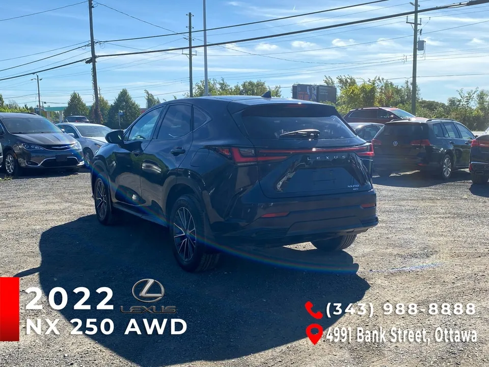 Lexus Nx 250 2022 photo 4