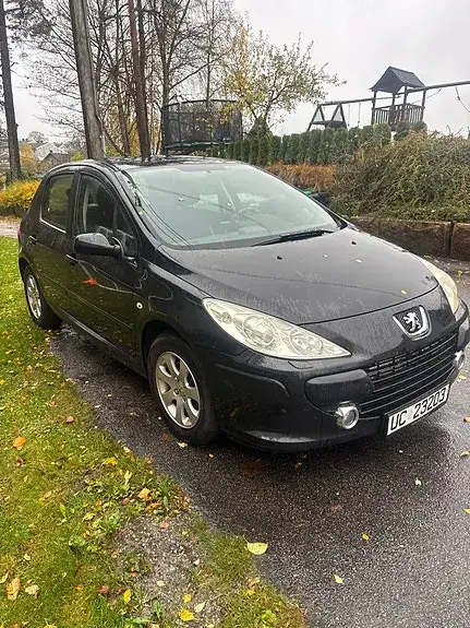Peugeot 307 2006 photo 2