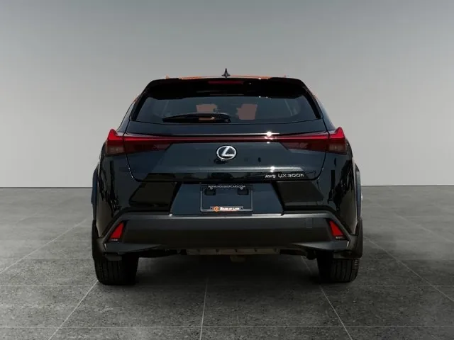 Lexus Ux 2025 photo 5