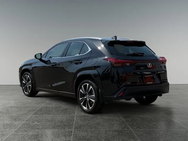 Lexus Ux 2025 photo 4