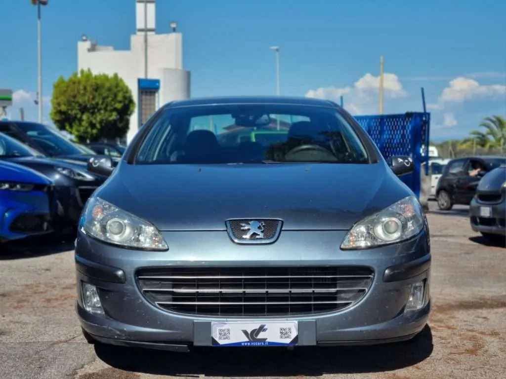 Peugeot 407 2006 photo 2