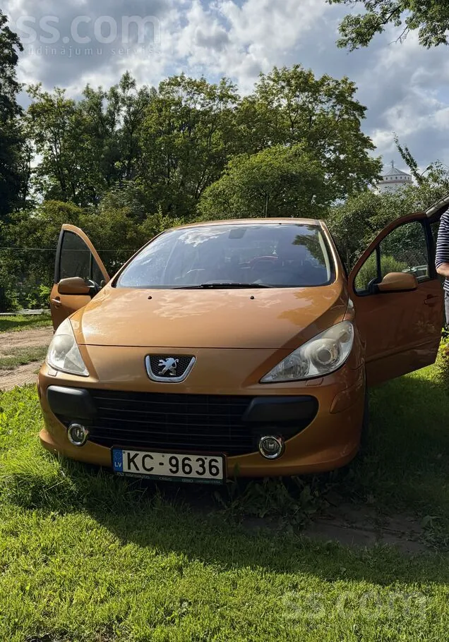 Peugeot 307 2006 photo 4